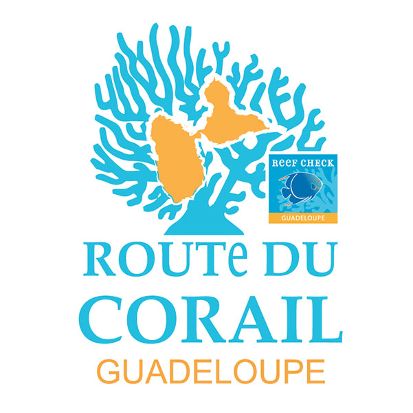 La Route du Corail Guadeloupe c’est parti du 18 au 27 mai 2018.