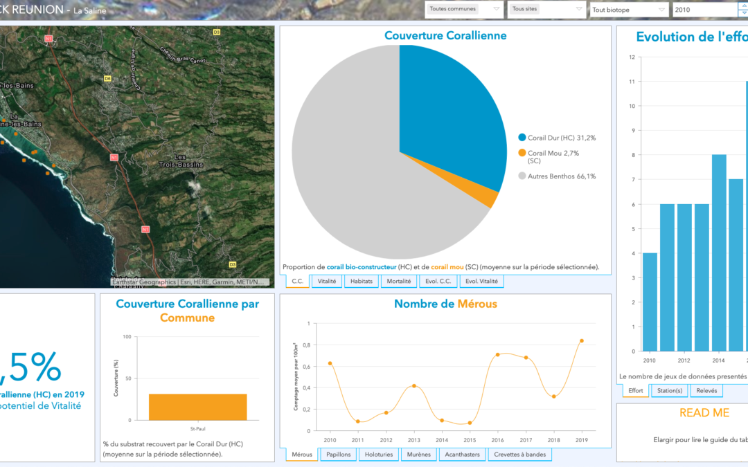 Screenshot du Dashboard La Saline